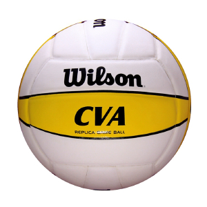 职业沙排-国家队用球