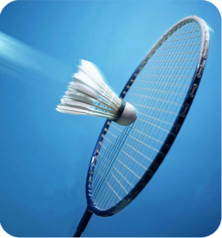 羽毛球系列